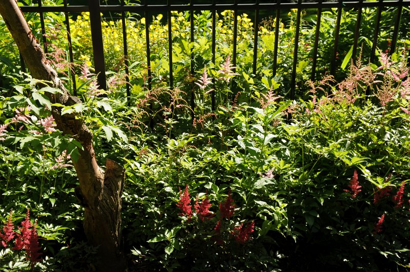 100619_111.JPG