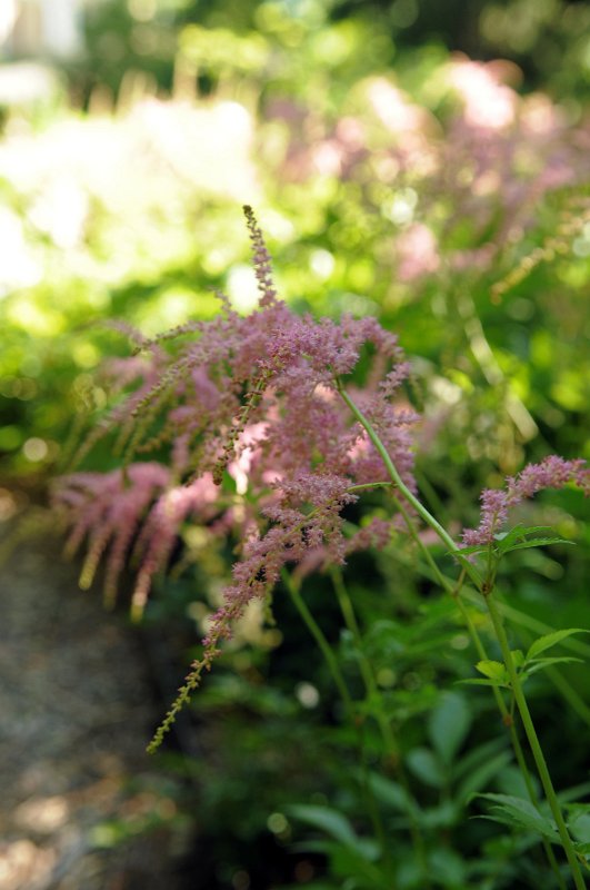 100619_114.JPG