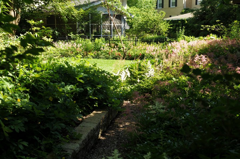 100619_116.JPG