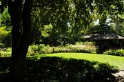 100619_105